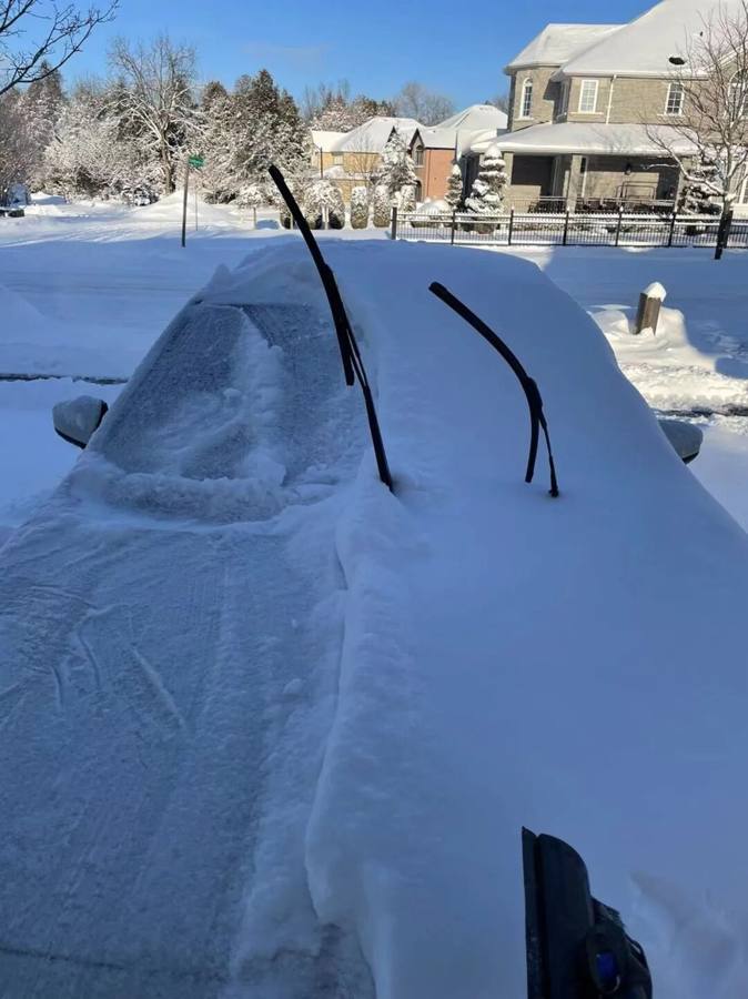 A Jiangnan native in Toronto: love is snow, hate is snow too