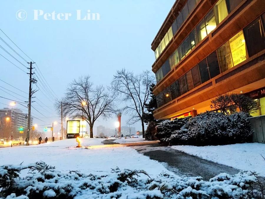 Snow falling at dusk: Toronto tonight looks like a painting