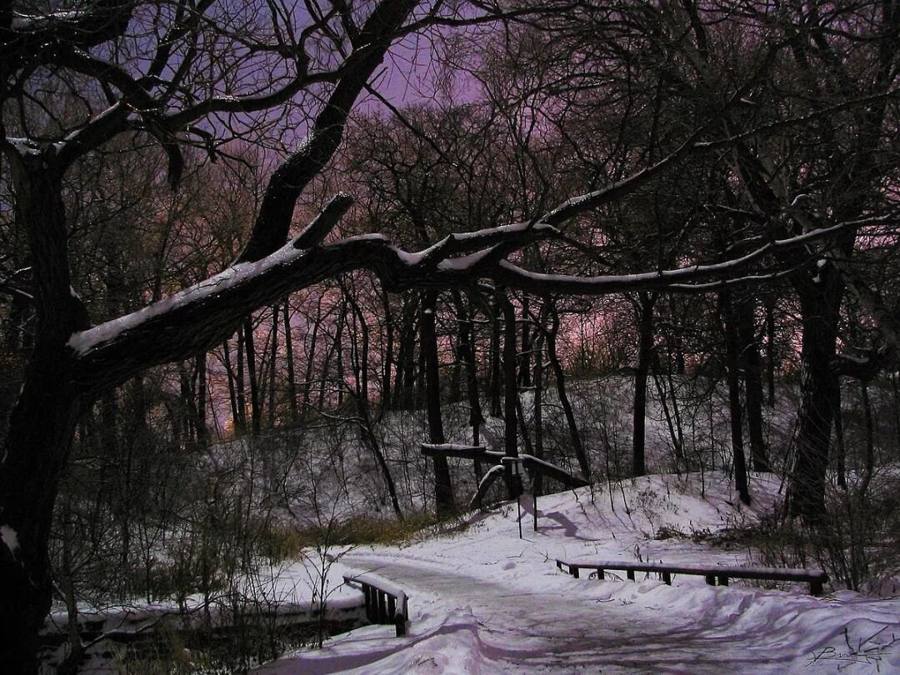 How many have you been to? 11 stunning spots to photograph Toronto in winter
