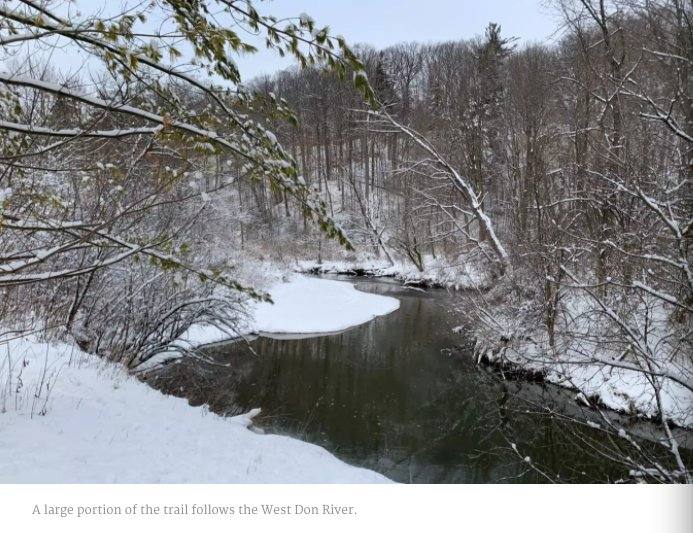 Toronto's beautiful winter trail: escape the city in a second