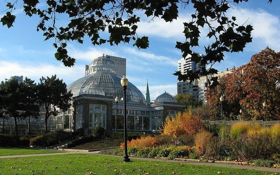 Hiking together: flowers and street views in the city of Toronto