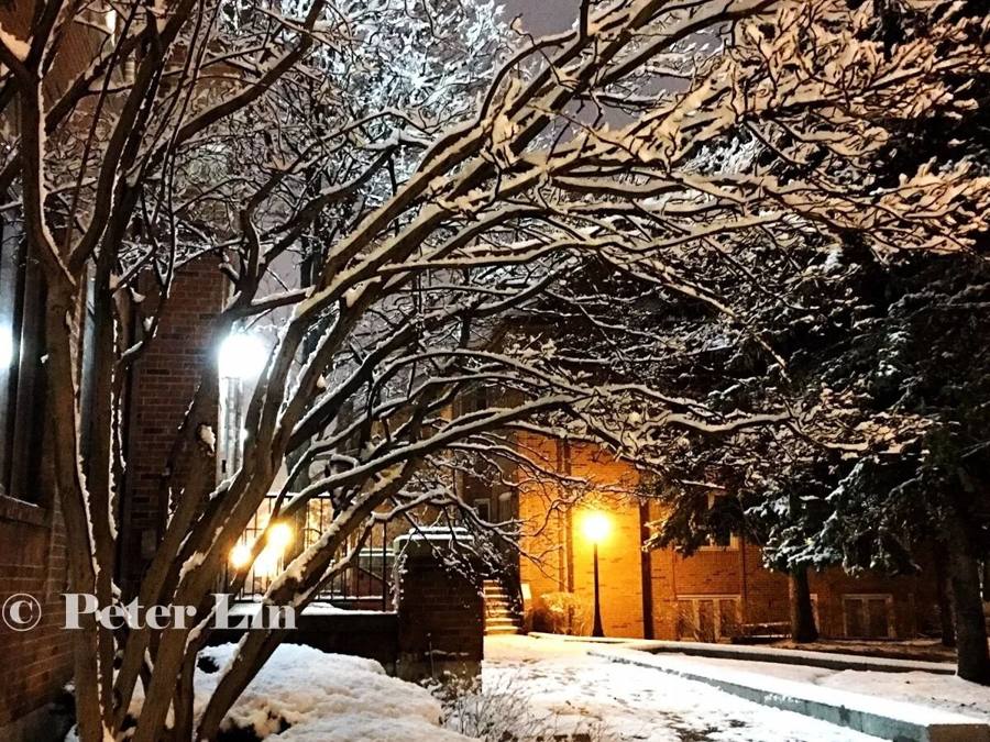 Snow falling at dusk: Toronto tonight looks like a painting