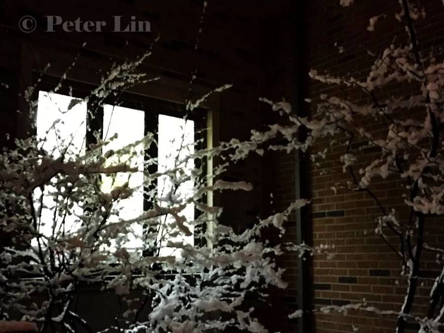 Snow falling at dusk: Toronto tonight looks like a painting