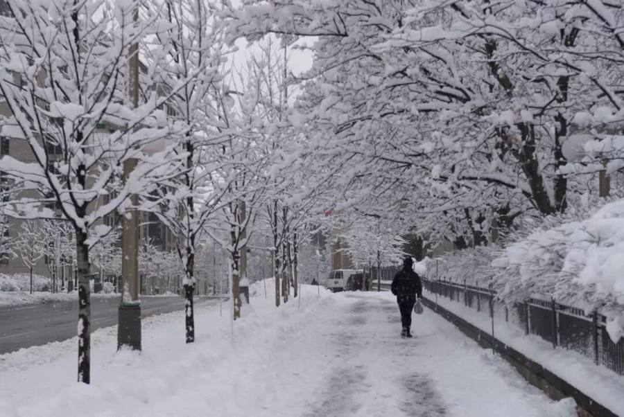 Toronto in heavy snow, beautiful beyond what you'd expect?