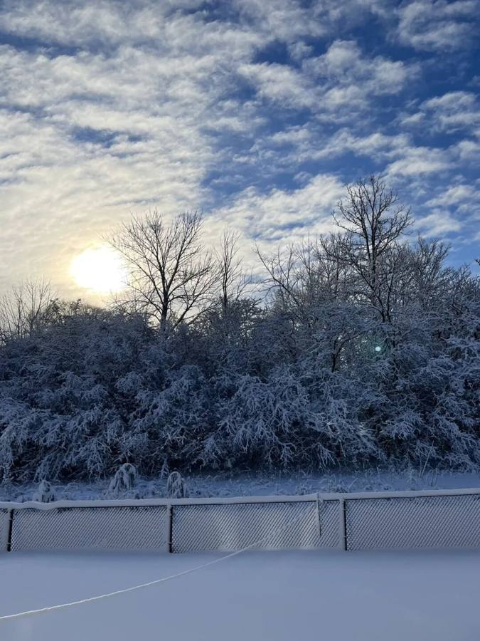 Toronto's snow