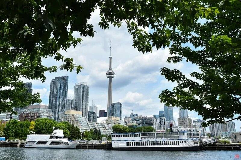 'Shenzhen Meets Toronto' sister-city photo exhibition goes online