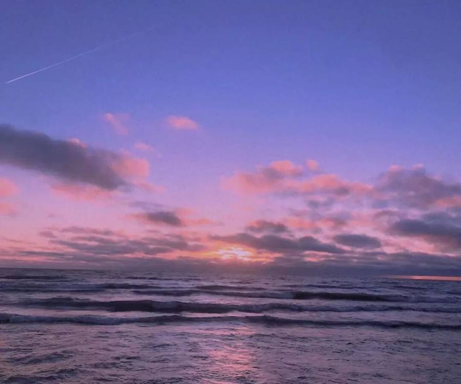 Toronto winter places you'll love at first sight