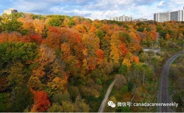 No need to go far: Toronto's ten best fall-foliage spots