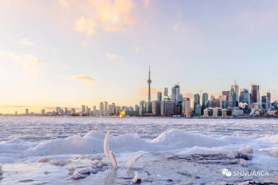 Toronto's winter