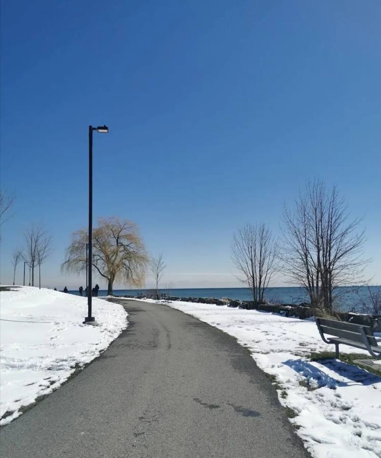 What to do in Toronto in winter?