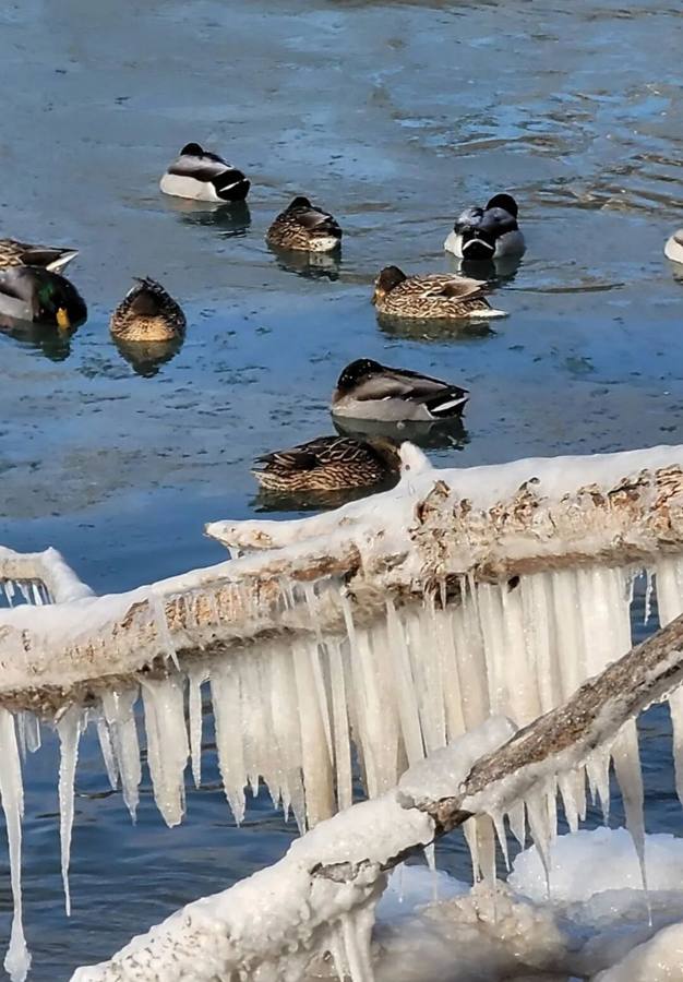 What to do in Toronto in winter?