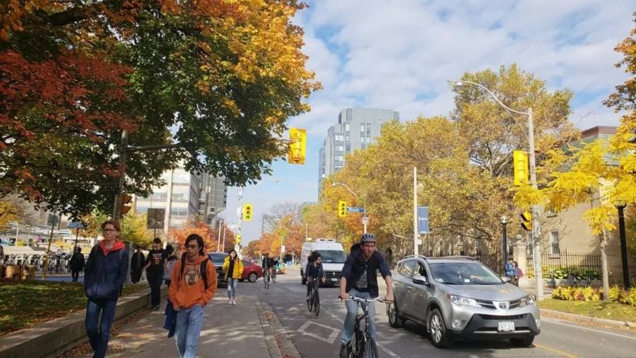 Catching the tail of autumn: University of Toronto in fall