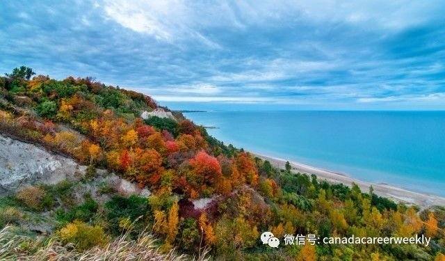 No need to go far: Toronto's ten best fall-foliage spots